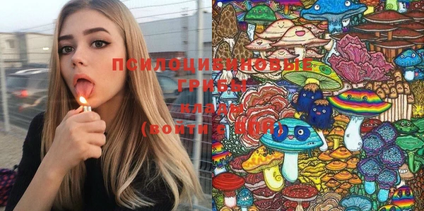 spice Алексеевка