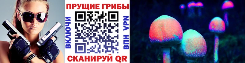 Псилоцибиновые грибы прущие грибы  mega зеркало  Тамбов 